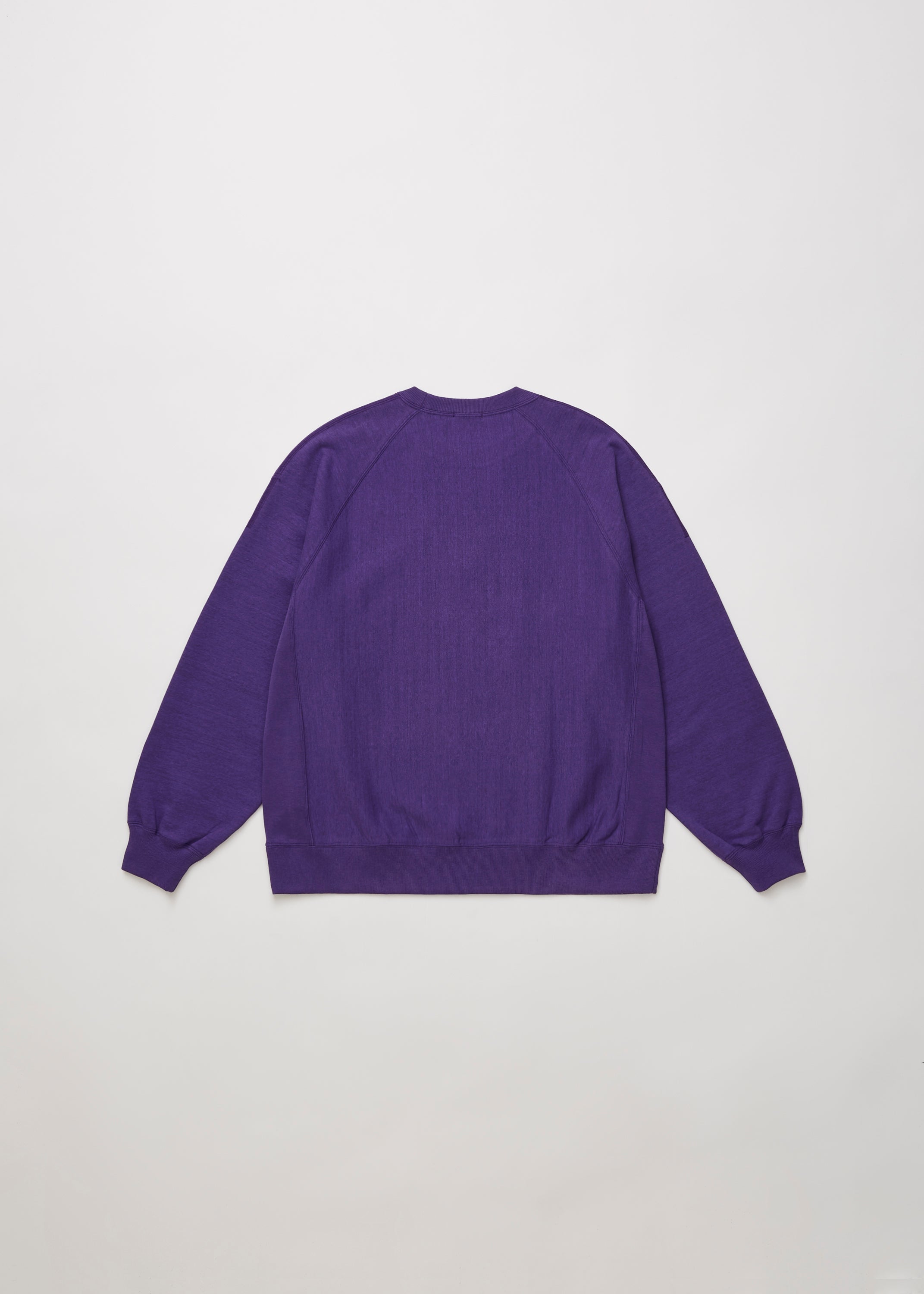 FADED SILKY TERRY RW SWEAT SHIRT